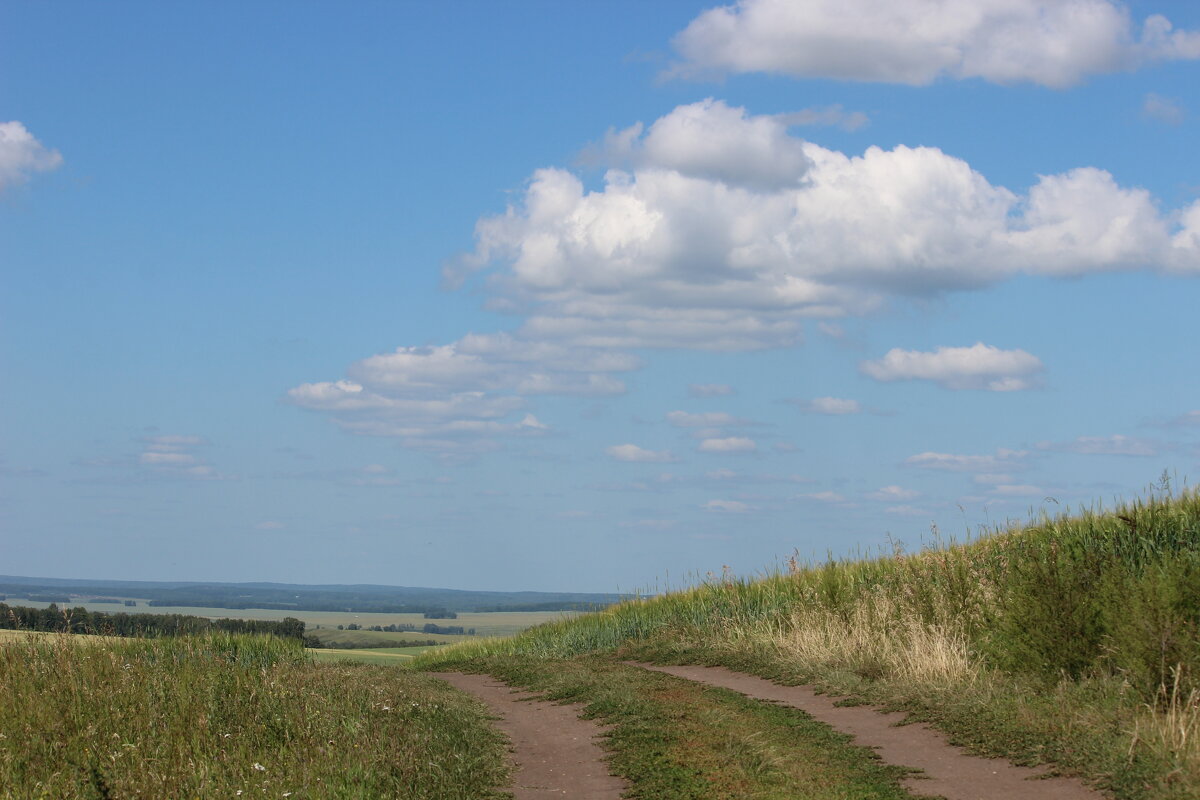 летний полдень - Ольга Гомзина