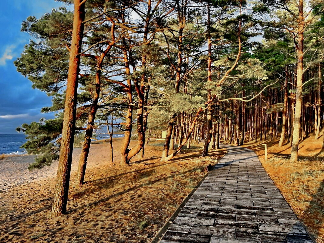 Saulkrasti 211125 - Arturs Ancans