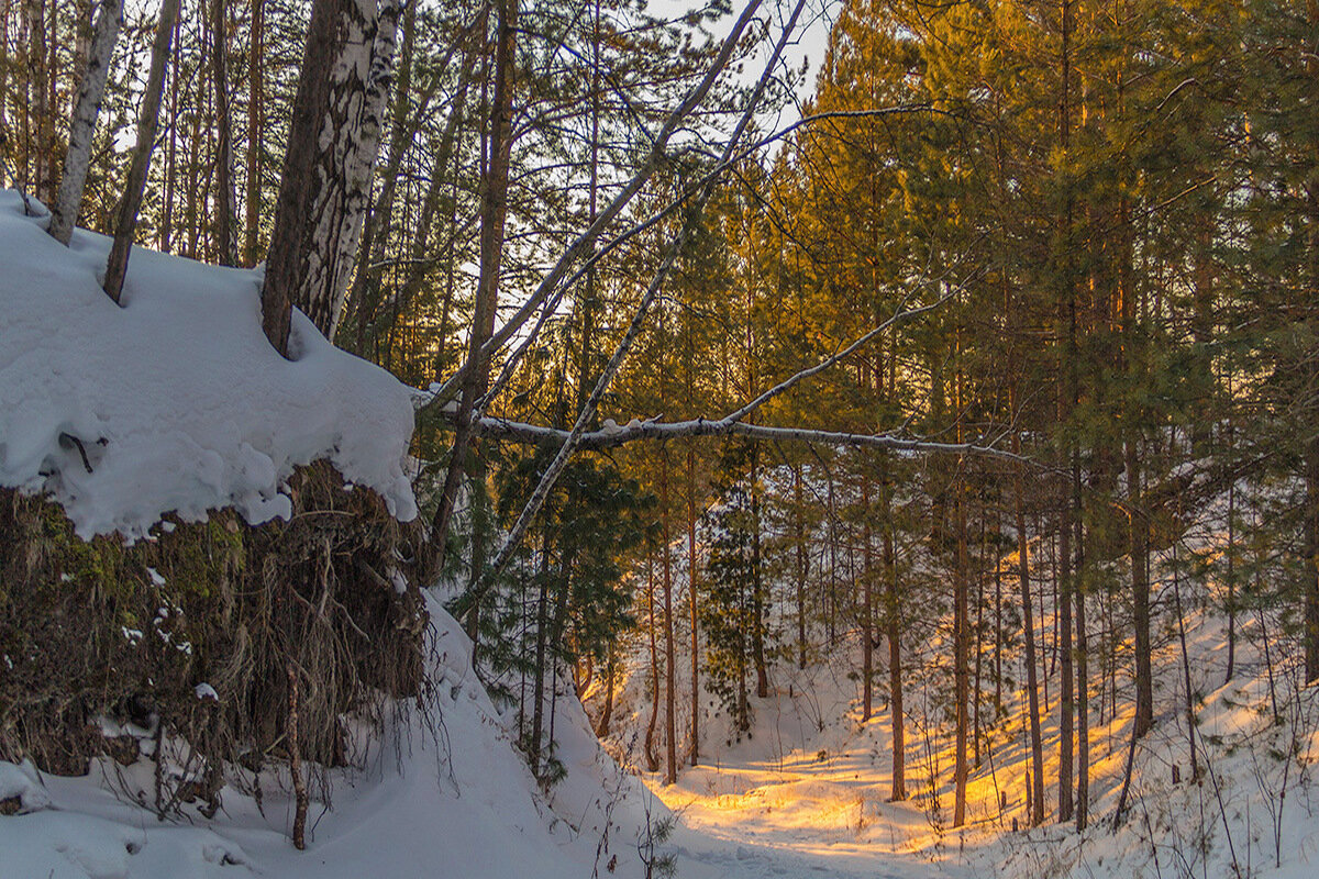 Мороз и солнце - Владимир Кириченко