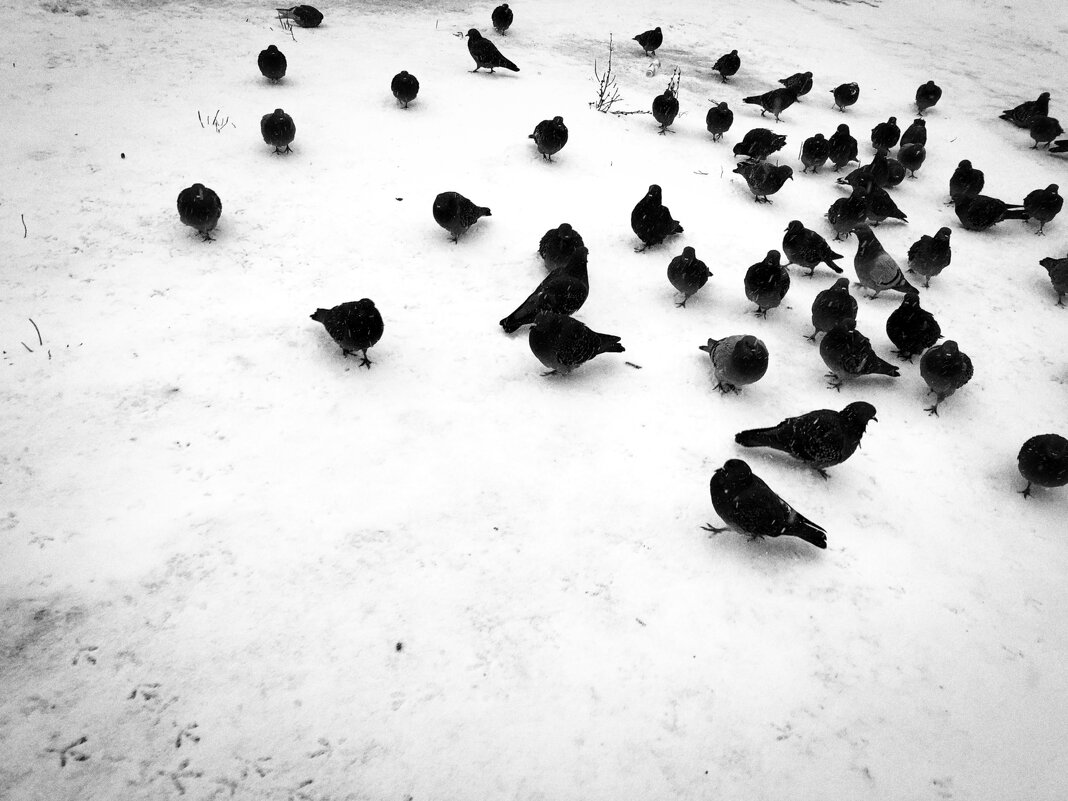 Фотография - Денис Безногов