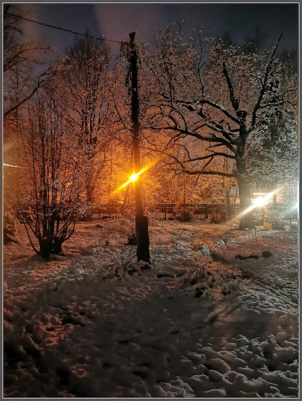 Вечер на даче - Ольга Довженко