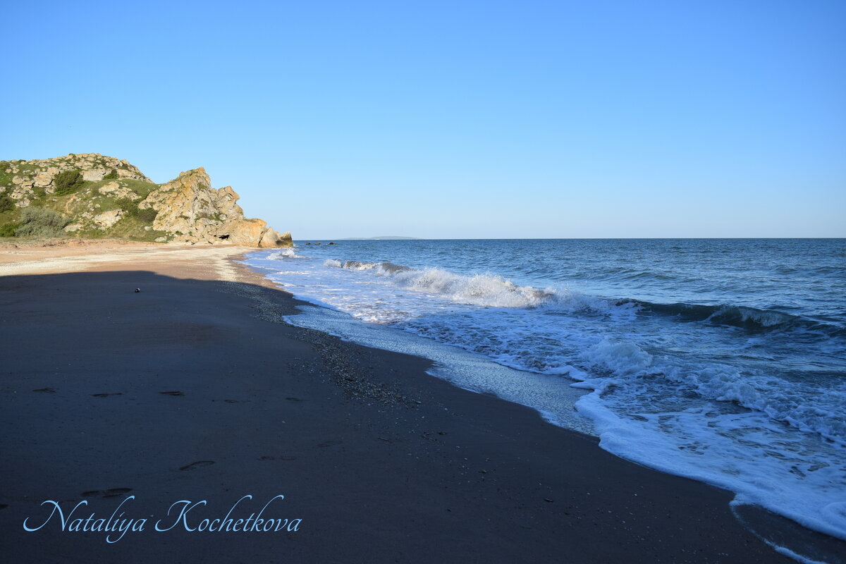 Природа Крыма - Amazing Cosmea