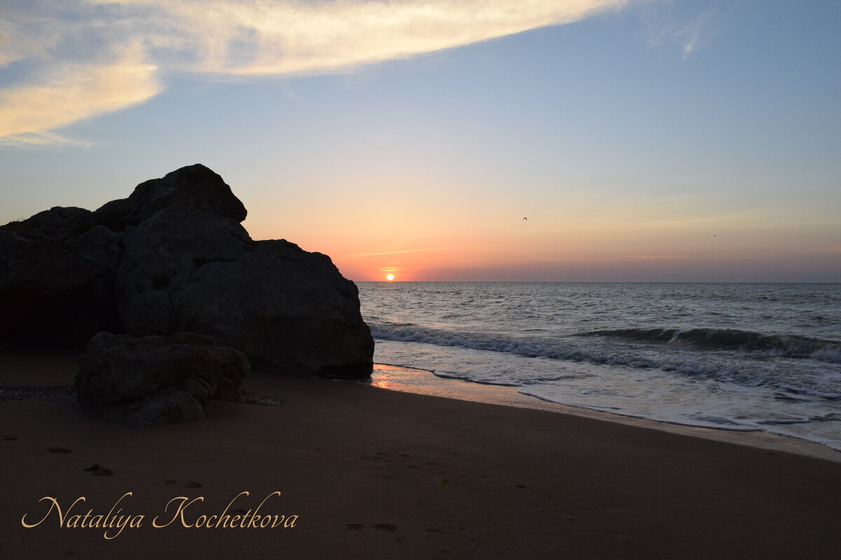 Природа Крыма - Amazing Cosmea