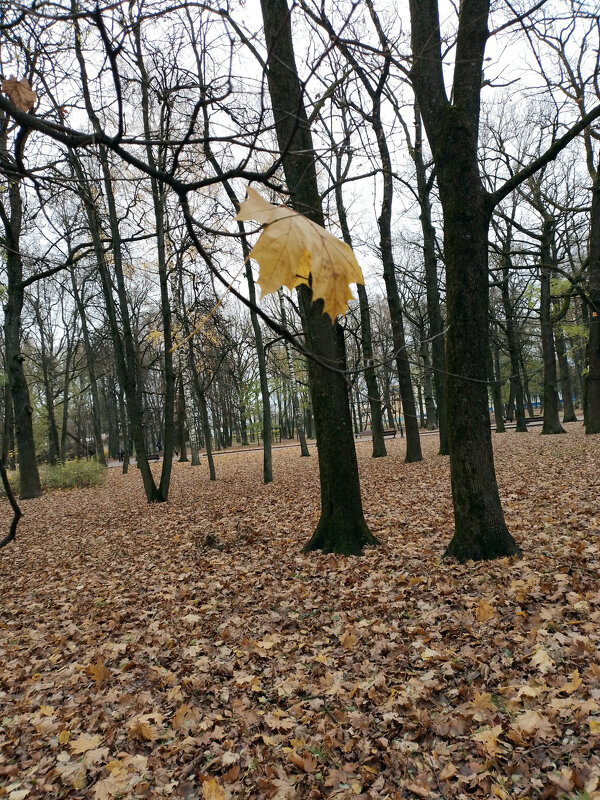 *** - Валентина Береснева