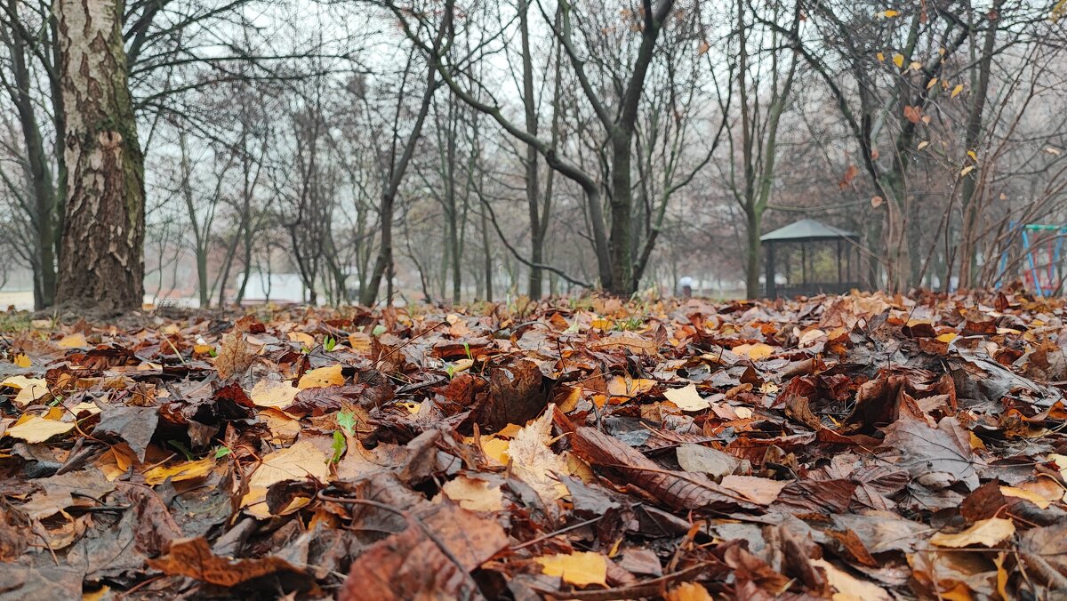 ,,, - Сергей Тимоновский