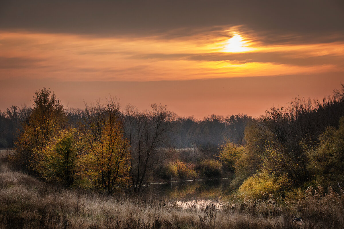 Осень - Ирина 