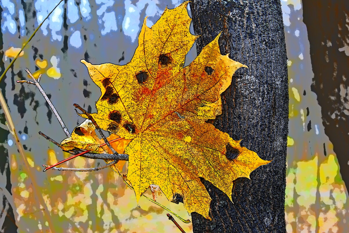 ОСЕНЬ - Юрий Владимирович 34