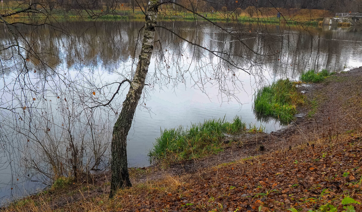Осенний Сюжет - юрий поляков
