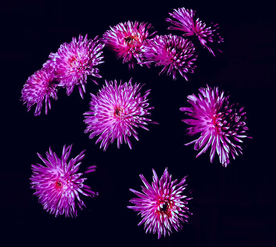 Букет - Игорь 