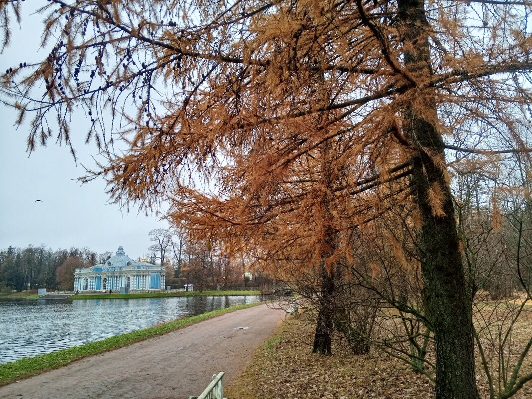 Осень - Сапсан 