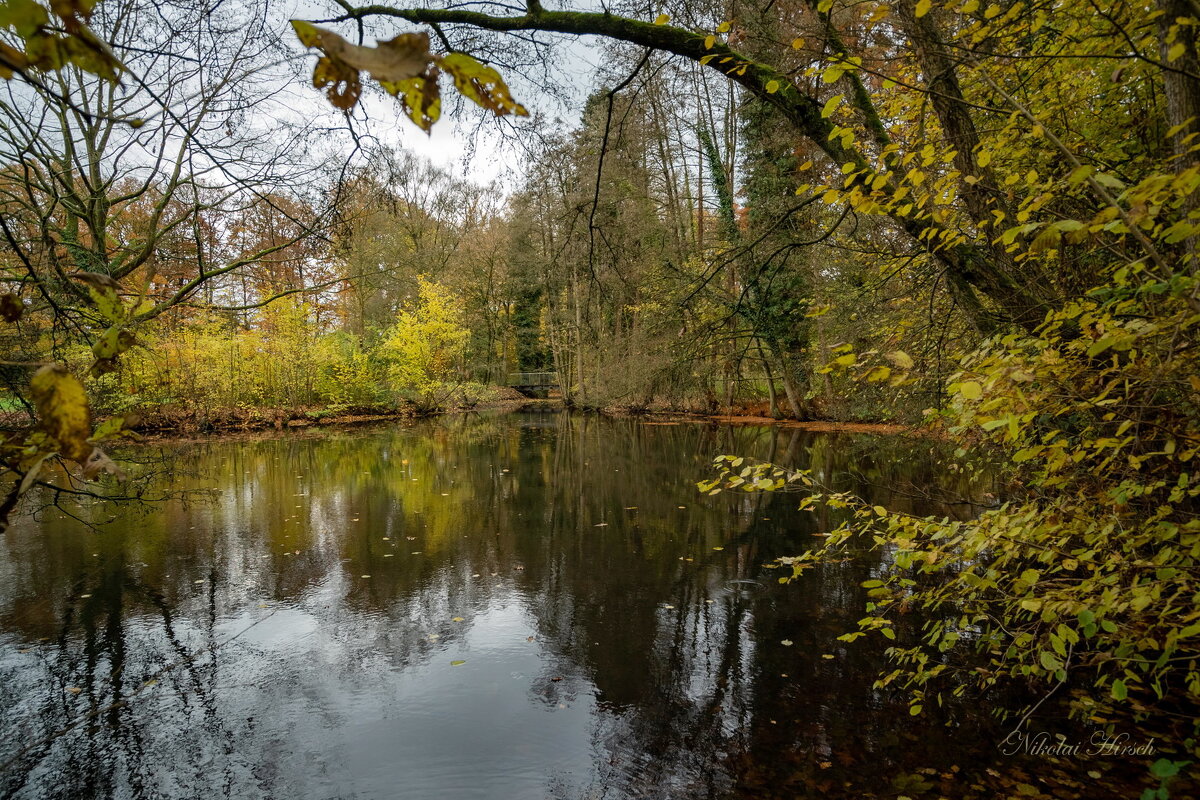 *** - Николай Гирш