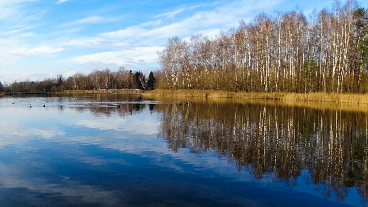 Природа в ноябре. - Милешкин Владимир Алексеевич 