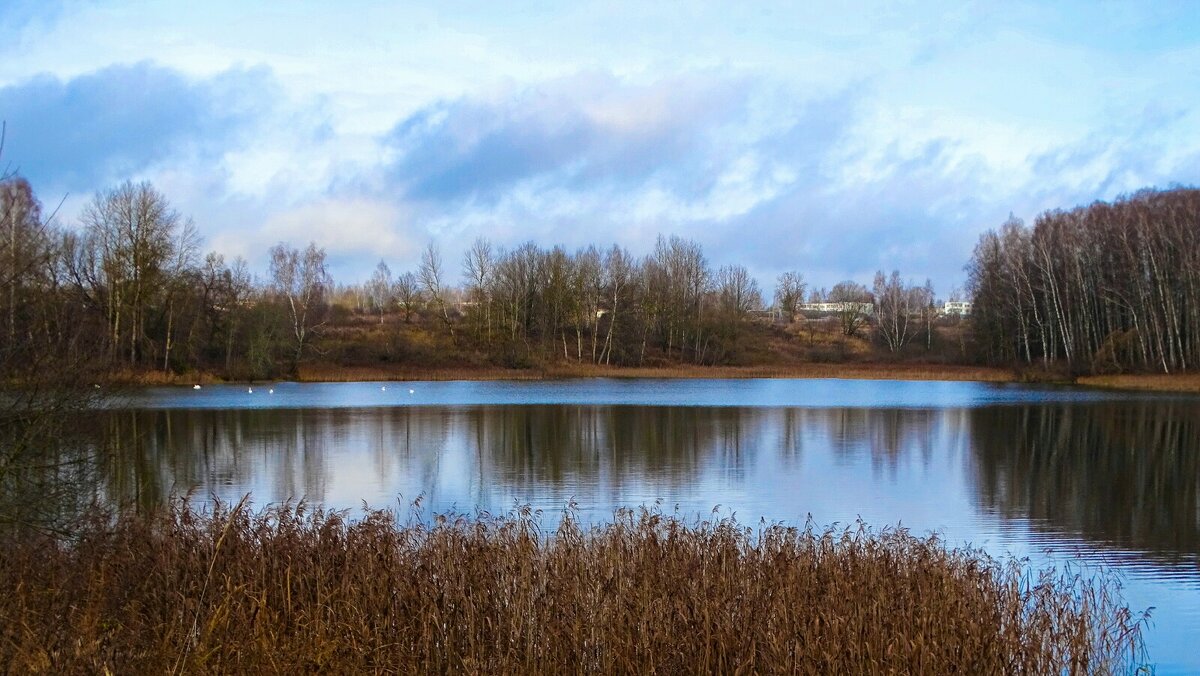 Моя Смоленщина. - Милешкин Владимир Алексеевич 
