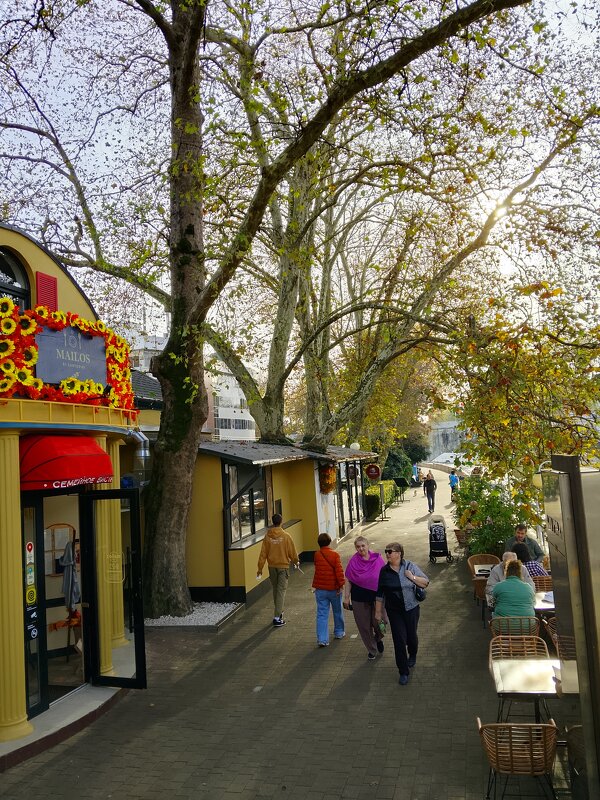 Прогулка по городу - Tata Wolf