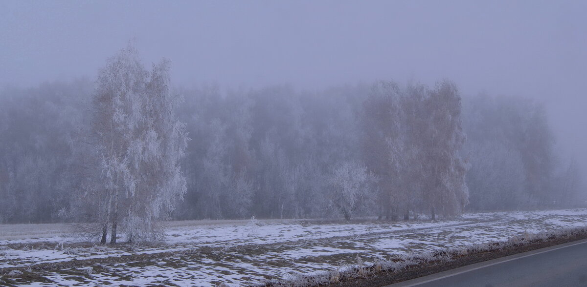 Туманный день октября. - сергей ермошкин