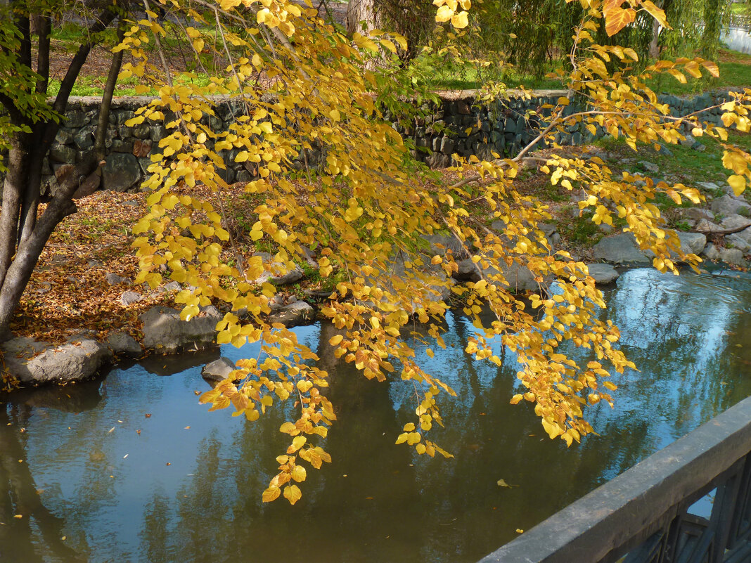 Листопад - Валентин Семчишин