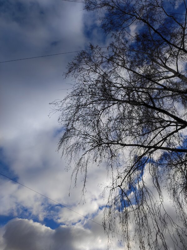 На фоне неба - Натали 