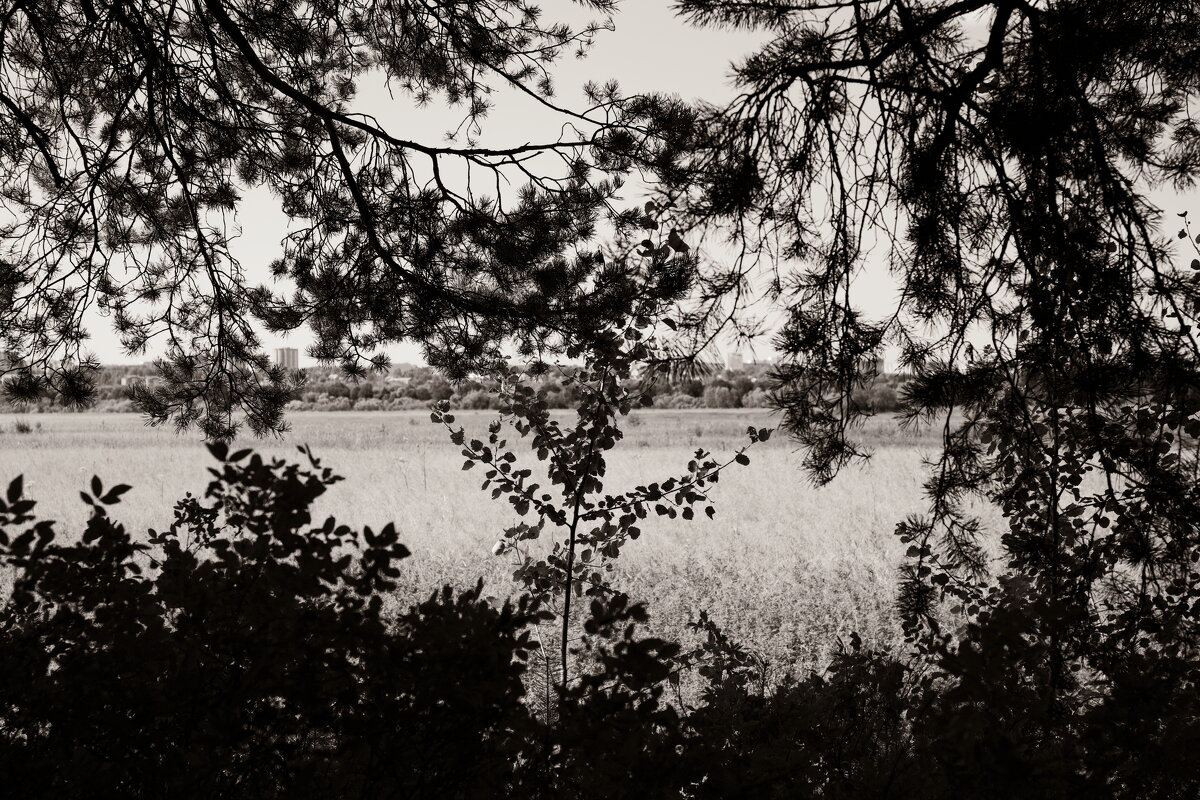 Фотография - Денис Безногов