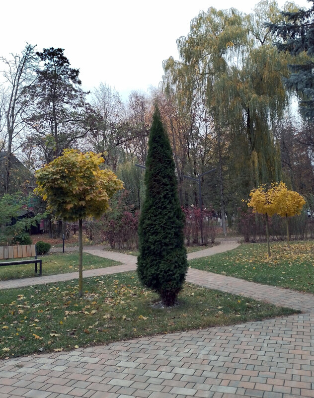 *** - Валентина Береснева