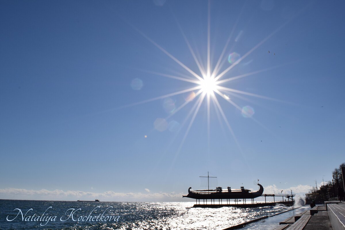 Природа Крыма - Amazing Cosmea Природа Крыма - Amazing Cosmea