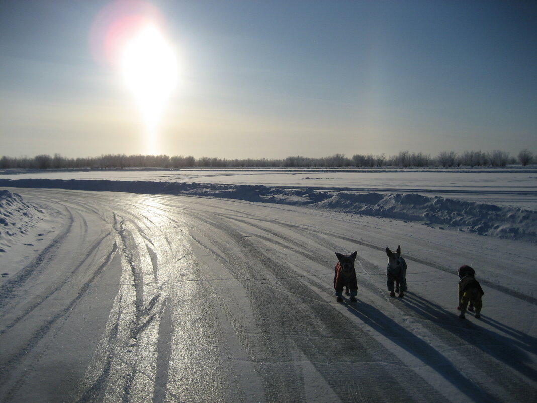 Солнечный столб - Anna Ivanova