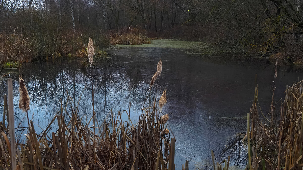 У Тихой Воды - юрий поляков