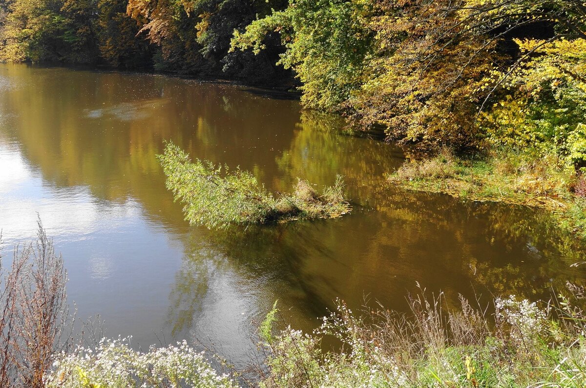 Осенние зарисовки - Рита Симонова