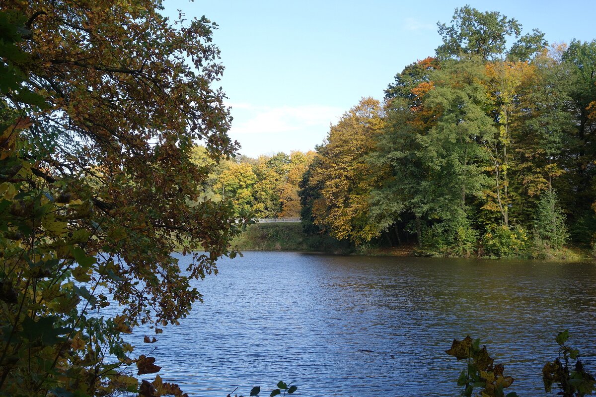 Осенние зарисовки - Рита Симонова