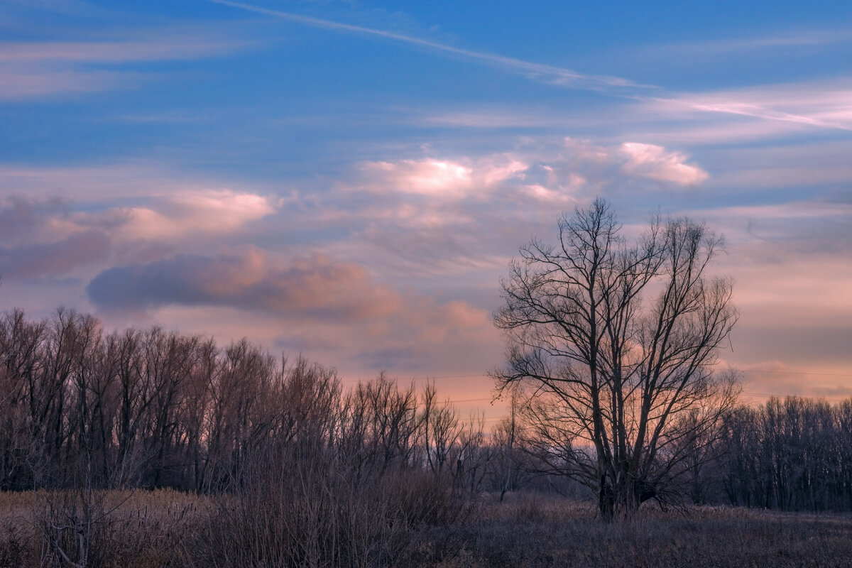 Уходит осень мягко и послушно... Чуть ветренно, чуть нежно, чуть воздушно... - Наталья Димова