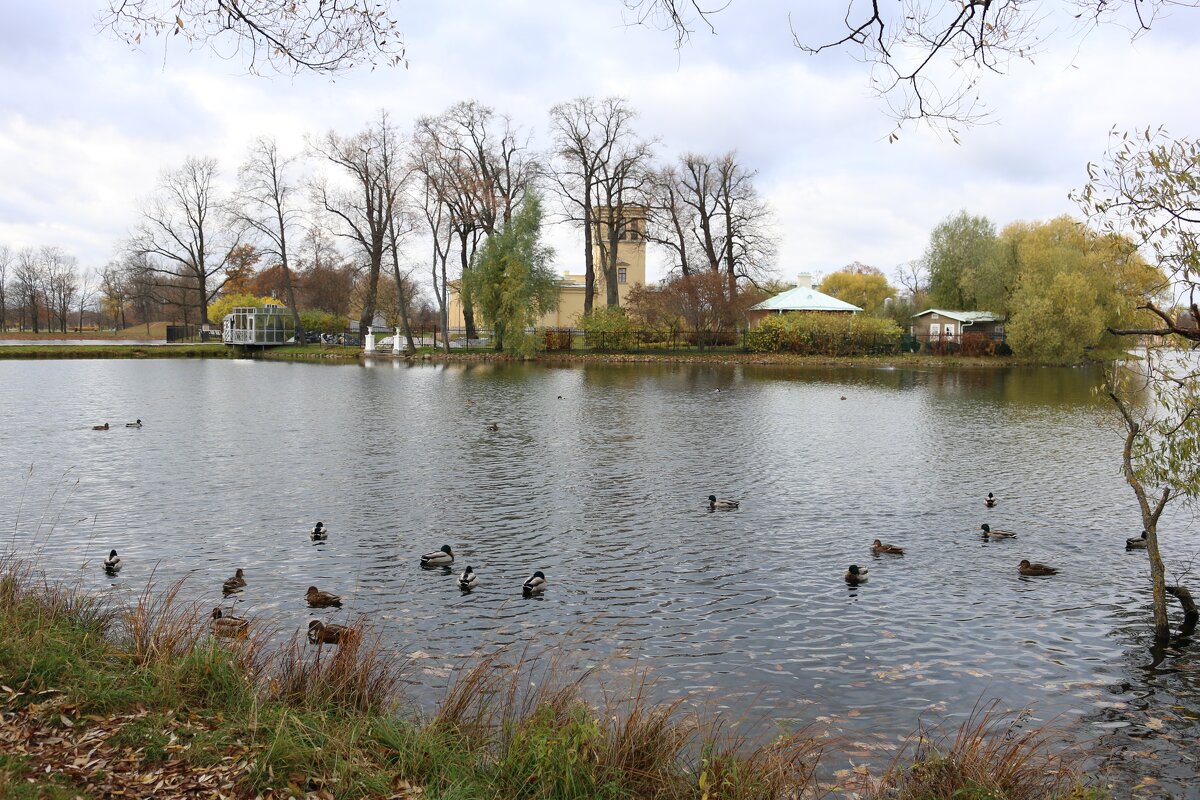 Ольгин пруд - Ольга 