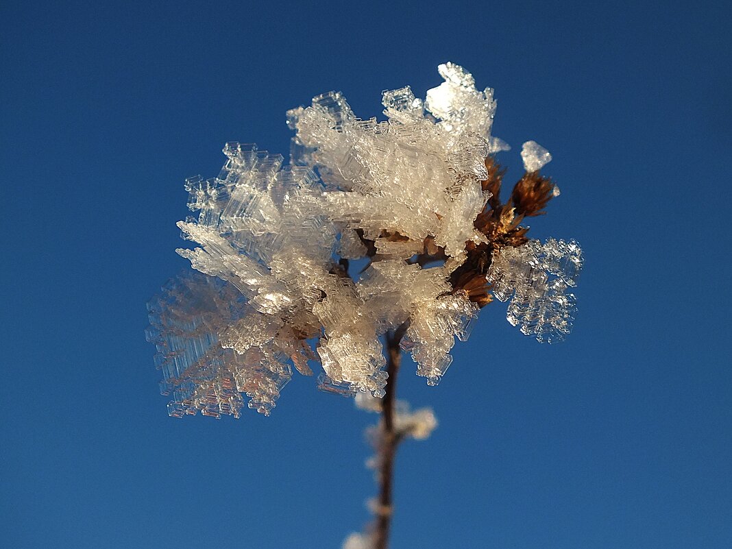 *** - Зоя Мишина