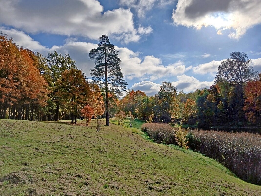 Берег озера - Лия ☼