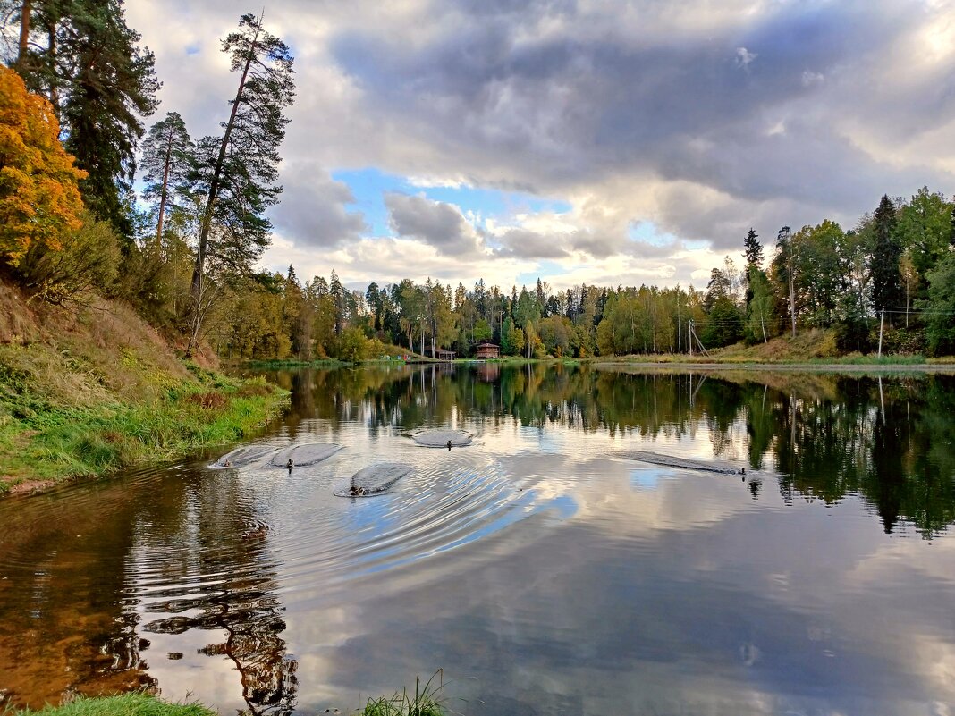 Утки ринулись навстречу. - Лия ☼