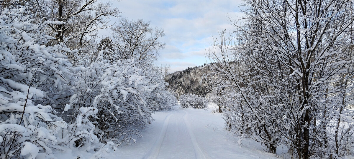 Снежная сказка!!! - Радмир Арсеньев