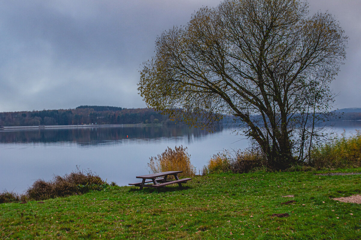 Скамейка на берегу. - Lucy Schneider 