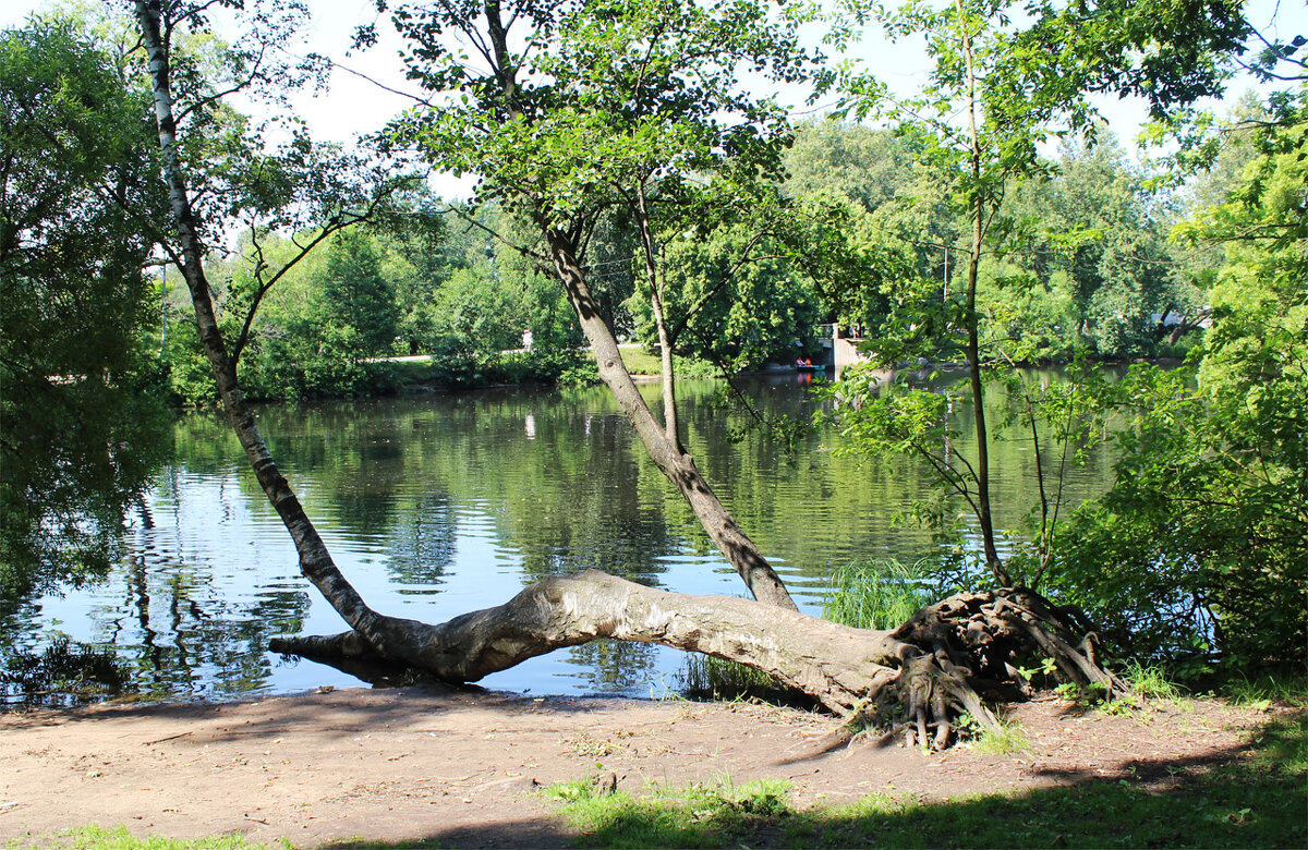 Парк - Любовь ***