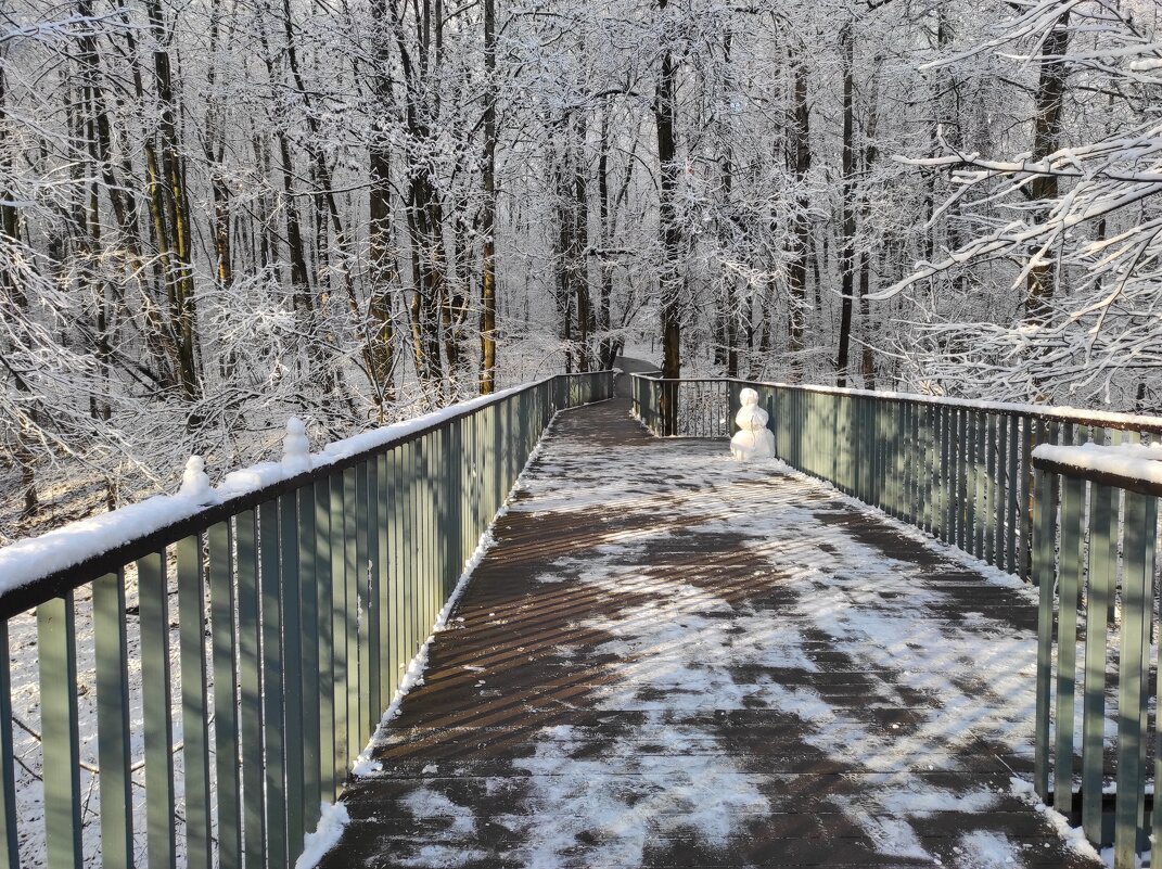 Снеговички на мосту - Игорь Ч.