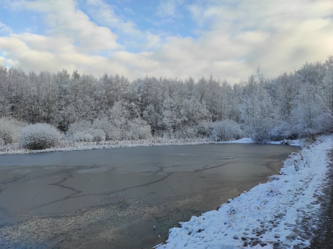Замёрзший пруд в парке - Игорь Ч.
