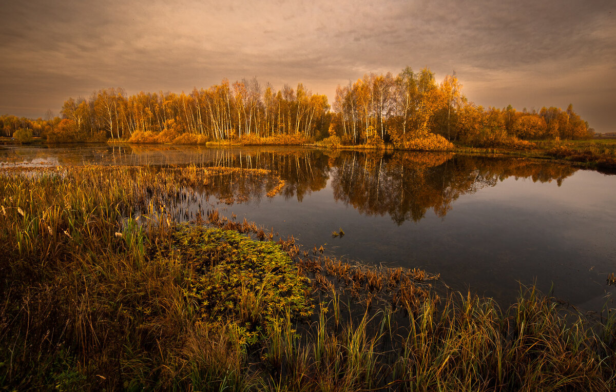 *** - Эдуард Кокозов