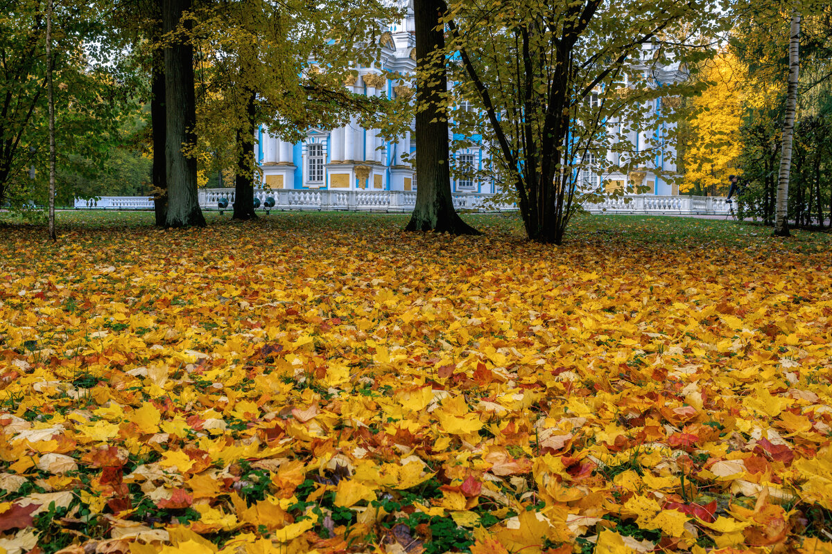 Про Питер - Владимир Колесников