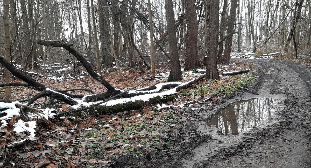 Ноябрь - Наталья Герасимова