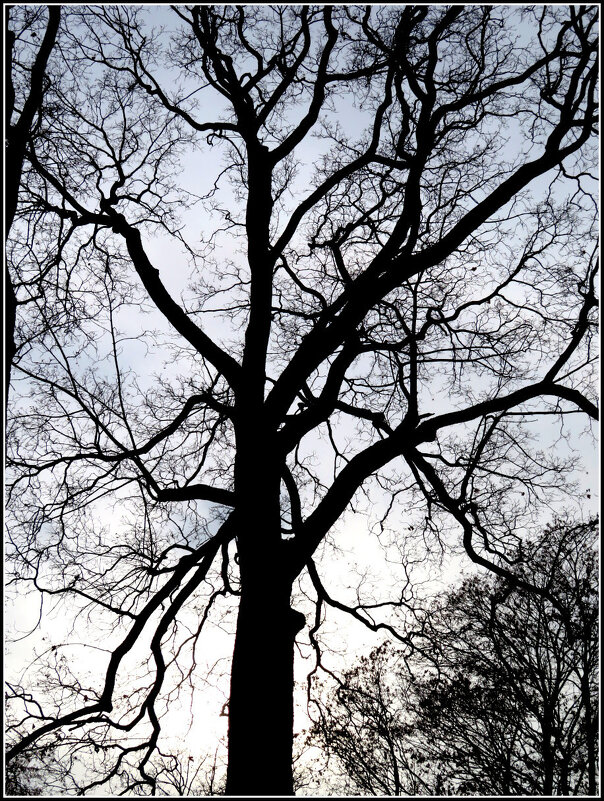 Графика ноября. - Егор Бабанов