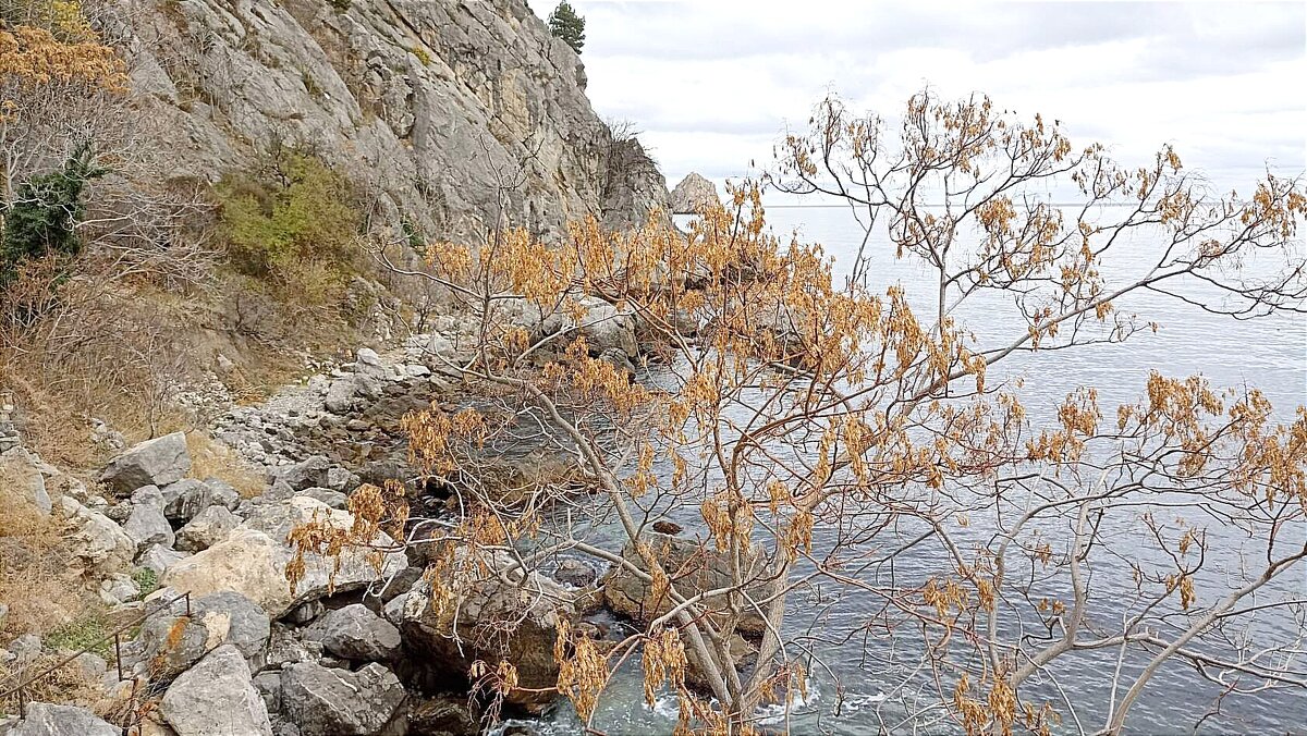 Морской пейзаж - Татьяна Тюменка