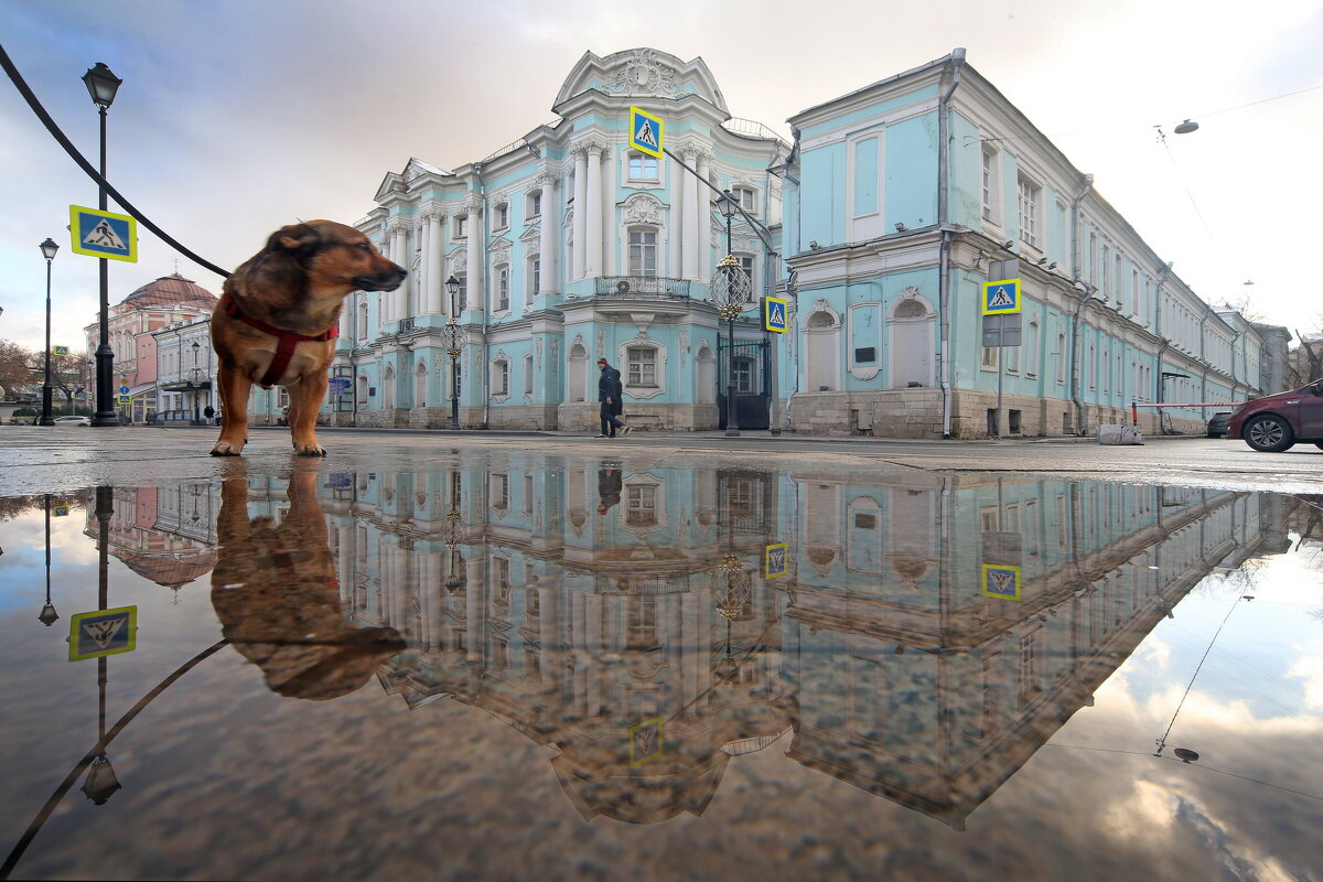 Покровка 23 ноября - Михаил Бибичков Покровка 23 ноября - Михаил Бибичков