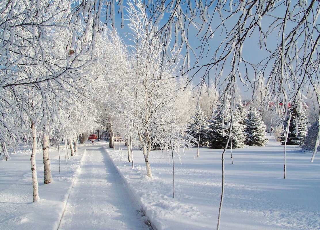 Снежня дорожка - Nataly St. 