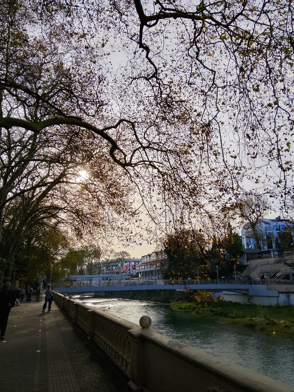 РЕКА СОЧИ - Tata Wolf