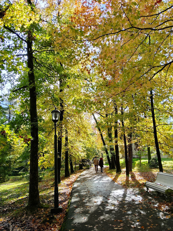 РИВЬЕРА - Tata Wolf