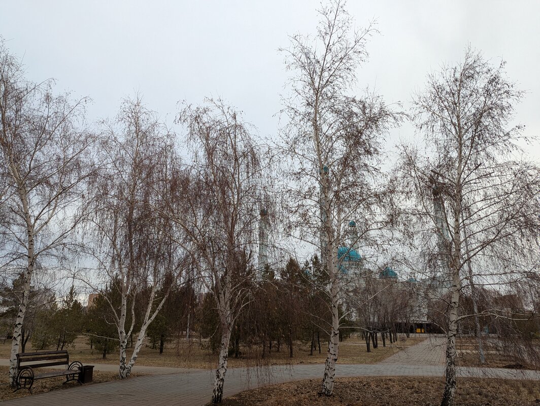 Ноябрь. - Андрей Хлопонин