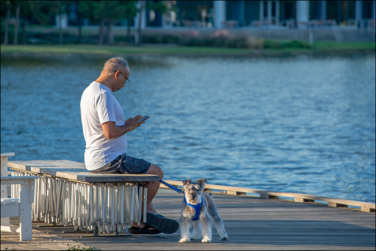 Блокпост - **** vedin