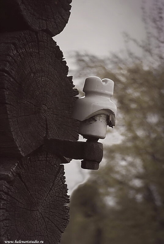 + электрофикация всей страны...... - Игорь Корф